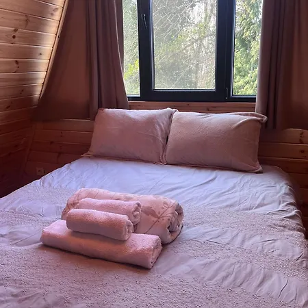 Sapancasadembungalov *